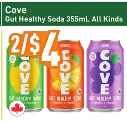 Healthy Planet Cove Gut Healthy Soda offer