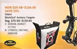 Cabela's BlackOut Archery Targets offer