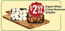 Healthy Planet Organic White/Crimini Mushroom offer