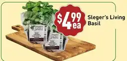 Healthy Planet Sleger's Living Basil offer