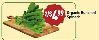 Healthy Planet Organic Bunched Spinach offer