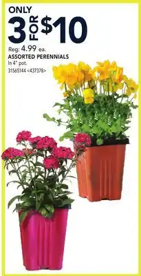 RONA ASSORTED PERENNIALS offer