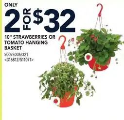 RONA 10 STRAWBERRIES OR TOMATO HANGING BASKET offer