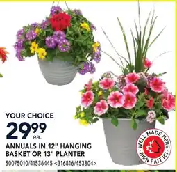 RONA ANNUALS IN 12 HANGING BASKET OR 13 PLANTER offer
