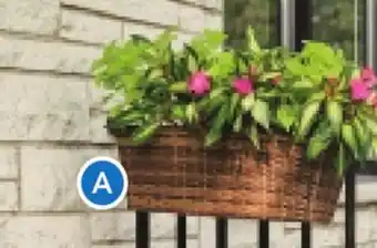 RONA Balcony planter offer