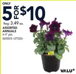 RONA ASSORTED ANNUALS offer