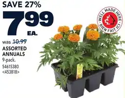 RONA ASSORTED ANNUALS offer