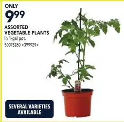RONA ASSORTED VEGETABLE PLANTS offer