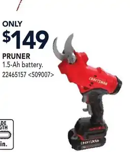RONA PRUNER offer