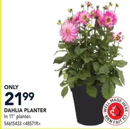 RONA DAHLIA PLANTER offer