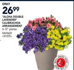 RONA ALOHA DOUBLE LAVENDER CALIBRACHOA ARRANGEMENT offer