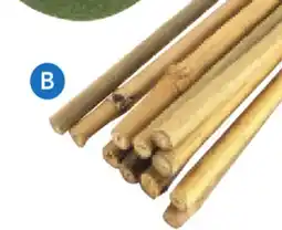 RONA plant stakes offer