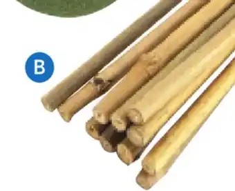 RONA plant stakes offer