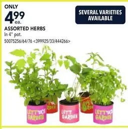 RONA ASSORTED HERBS offer