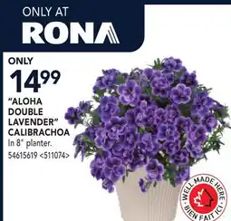 RONA ALOHA DOUBLE LAVENDER CALIBRACHOA offer