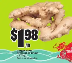 FreshCo Ginger Root Product of China 4.37/kg offer