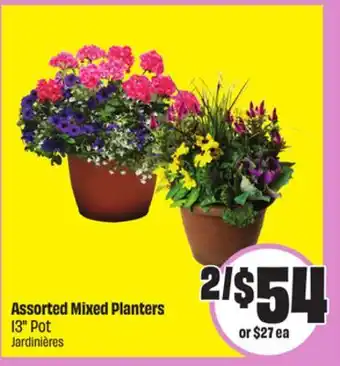 FreshCo Assorted Mixed Planters 13 Pot offer
