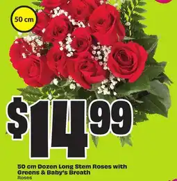 FreshCo 50 cm Dozen Long Stem Roses with Greens & Baby's Breath offer