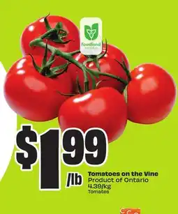 FreshCo Tomatoes on the Vine Product of Ontario 4.39/kg offer