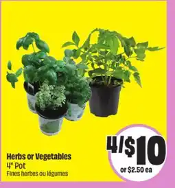 FreshCo Herbs or Vege 4 Pot offer