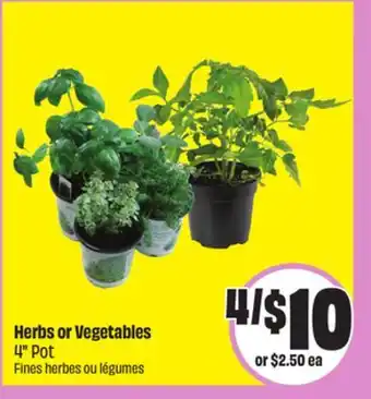 FreshCo Herbs or Vege 4 Pot offer