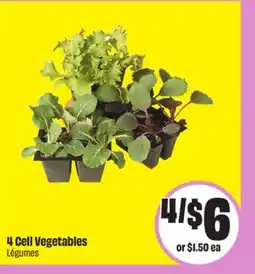 FreshCo 4 Cell Vegetables offer