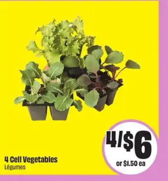 FreshCo 4 Cell Vegetables offer