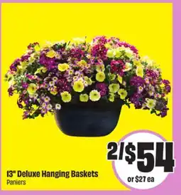 FreshCo 13 Deluxe Hanging Baskets offer