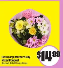 FreshCo Extra Large Mother's Day Mixed Bouquet offer