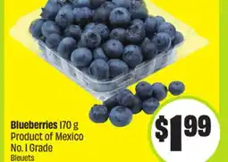 FreshCo Blueberries 170 g Product of Mexico No. 1 Grade offer