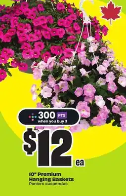 FreshCo 10 Premium Hanging Baskets offer