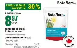 BMR SEMENCES DE GAZON À DÉPART RAPIDE offer