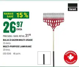 BMR BALAI À GAZON MULTI-USAGE offer