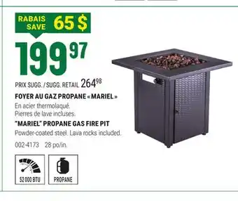 BMR FOYER AU GAZ PROPANE  MARIEL  offer