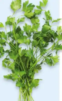 Walmart Flat Parsley offer