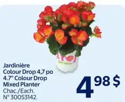 Walmart 4.7 Colour Drop Mixed Planter offer