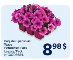 Walmart Wave Petunias 6-Pack offer