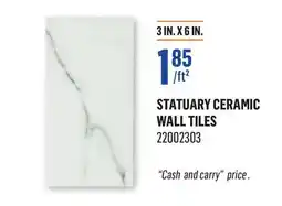 Canac Statuary Ceramic Wall Tiles offer
