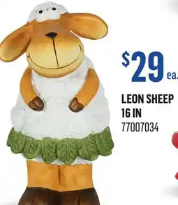 Canac Leon Sheep 16 in offer
