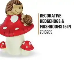 Canac Decorative Hedgehogs & Mushrooms 15 in offer