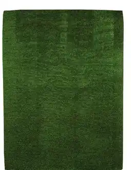 Canac De Luxe Lawn Carpet offer