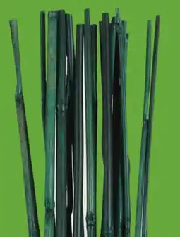 Canac Bamboo Stakes offer