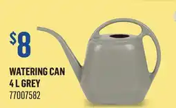 Canac WATERING CAN 4 L GREY offer