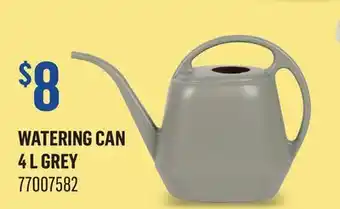 Canac WATERING CAN 4 L GREY offer