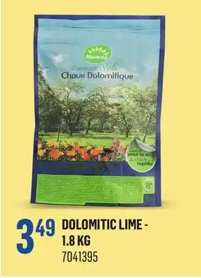 Canac DOLOMITIC LIME - 1.8 KG offer