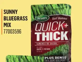 Canac Grass Seed 1.2 kg offer