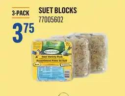 Canac Suet Blocks offer