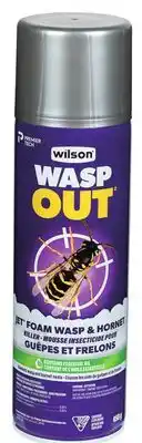 Canac Wasp Out and Hornet Killer 450 g offer