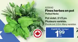 Patrick Morin Potted Herbs offer