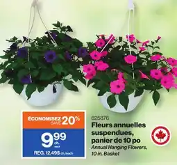Patrick Morin Annual Hanging Flowers offer